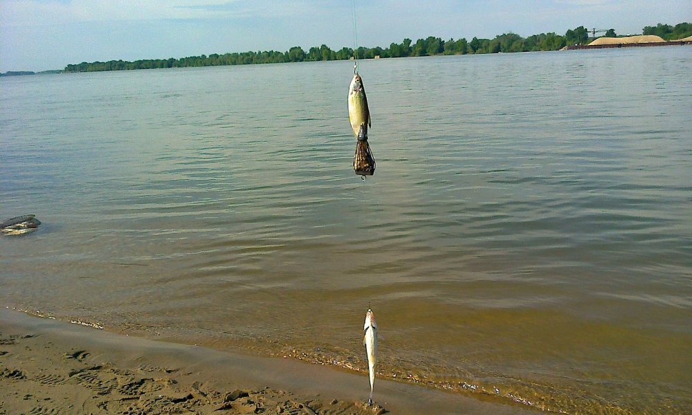 обской водоем рыбалка обской водоем рыбалка